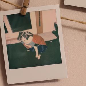 Oh Baby Please (Instrumental)