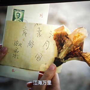 WAV文件_给阿嬷的情书_139890263118661122_1780017049447 伴奏