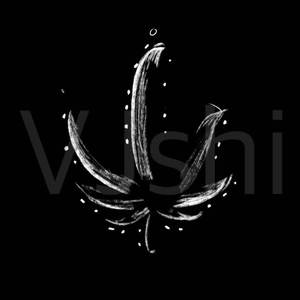 demo 2 （prod by ..SOULFRESH BEATS）