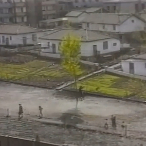 绽放魅力奥黛丽赫本: 穿越时光的魔法缪尔丝，散发出永恒的优雅与魅力