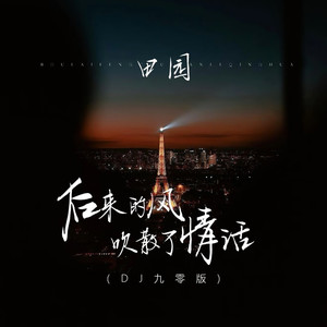 后来的风吹散了情话 (DJ九零版)