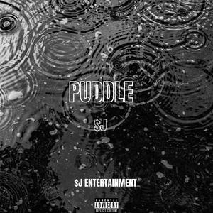 Puddle