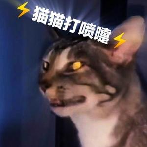 猫猫打喷嚏(二创)