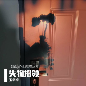 有谁共鸣（吉他版）