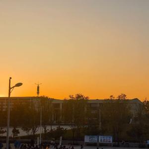 我是真的爱上你