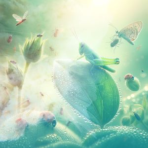 Moths Flapping in the Light of a Full Moon