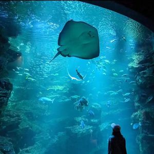 LiKELAO - Stay with me（Prod.47）