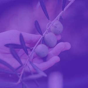 有趣周日的早午餐情怀