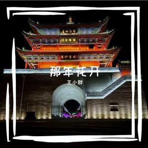 赵雷——三十岁的女人（翻唱）