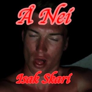 Å Nei