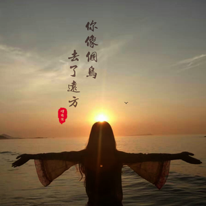 你像个鸟，去了远方 (伴奏)