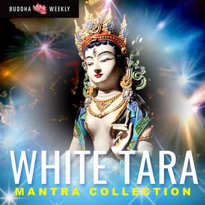 Tara 9 Who Protects from All Fears