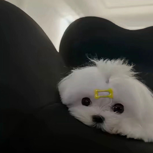 如果你不记得我的好 那我永远是坏人