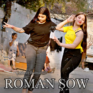 Çıldırın Romanlar