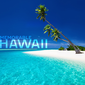 Tropical Hawaii Mood