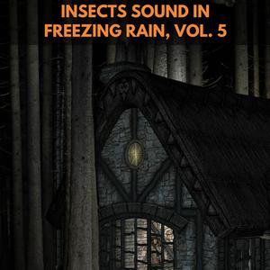 Heavy Rain and Autumn Break