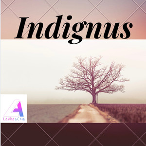 Indignus