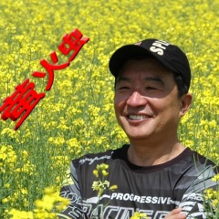 又是一年花开时