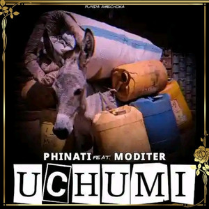 Uchumi