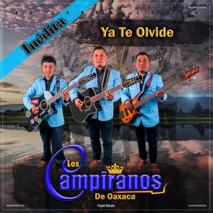Ya Te Olvidé