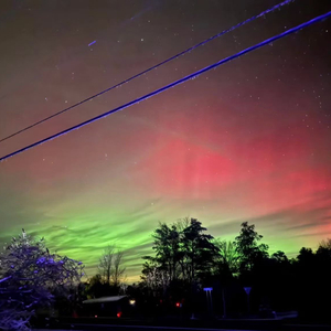 Улетали Птицами