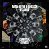 Adam Beyer - Control (Remix)