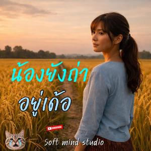 เพลง น้องยังถ่าอยู่เด้อ