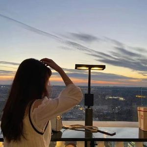 如若一世只情字