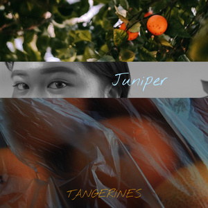 Tangerines