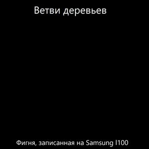 Фигня, записанная на Samsung l100 (Live)