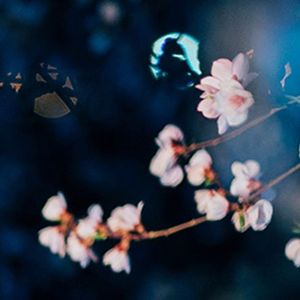 国风悠韵之江湖曲