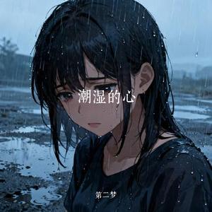 潮湿的心