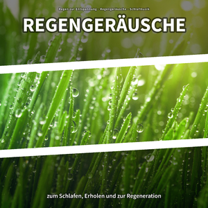 Regengeräusche