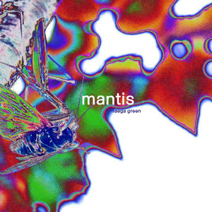 Mantis