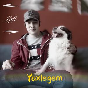YAXLEGEM(拉菲）
