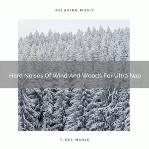 Hard Noises Of Wind And Woods For Ultra Nap