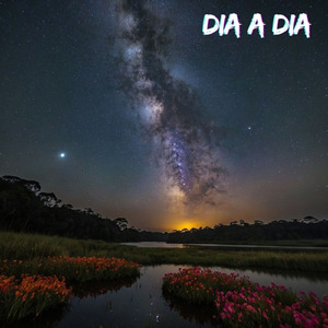 Dia a Dia