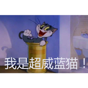 超威蓝猫之微笑Matana