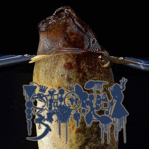 The Golden Foam (Of Polypedates)