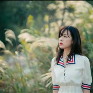 傻子的心意 伴奏