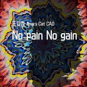 No pain No gain