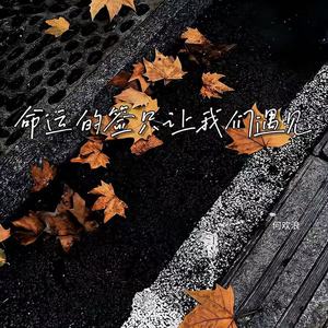 命运的签只让我们遇见