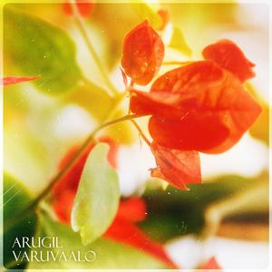 Arugil Varuvaalo (feat. Bhars)