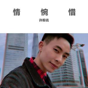 情惋惜（翻自 许嵩）