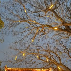 (20买断）秋分 律动吉他type beat