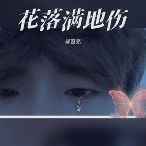 花落满地伤