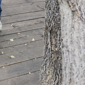 做个清醒的人吧