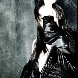 绝对占有 相对自由