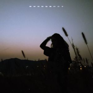 难解，斑驳陆离的日子