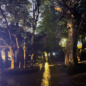 微醺